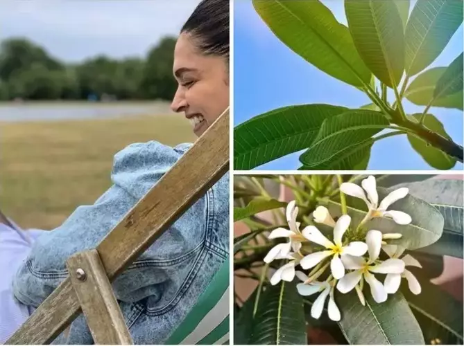 Seleb Bollywood pecinta alam © 2020 brilio.net