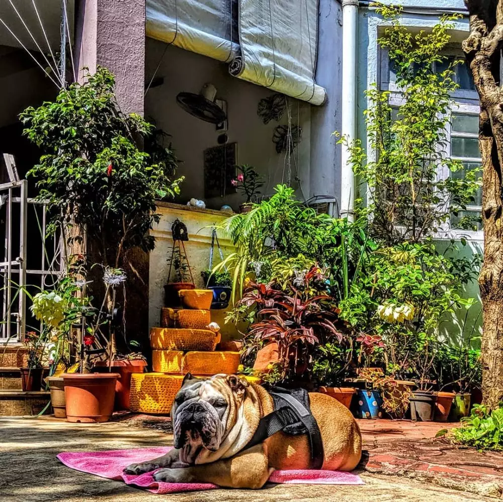 potret apartemen vir das aktor bollywood instagram