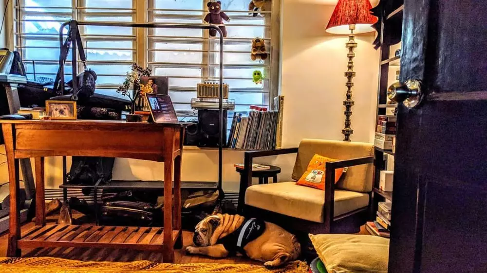 potret apartemen vir das aktor bollywood instagram