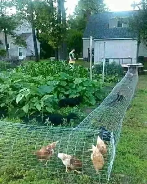 potret lucu teknologi low budget © 2020 instagram.com