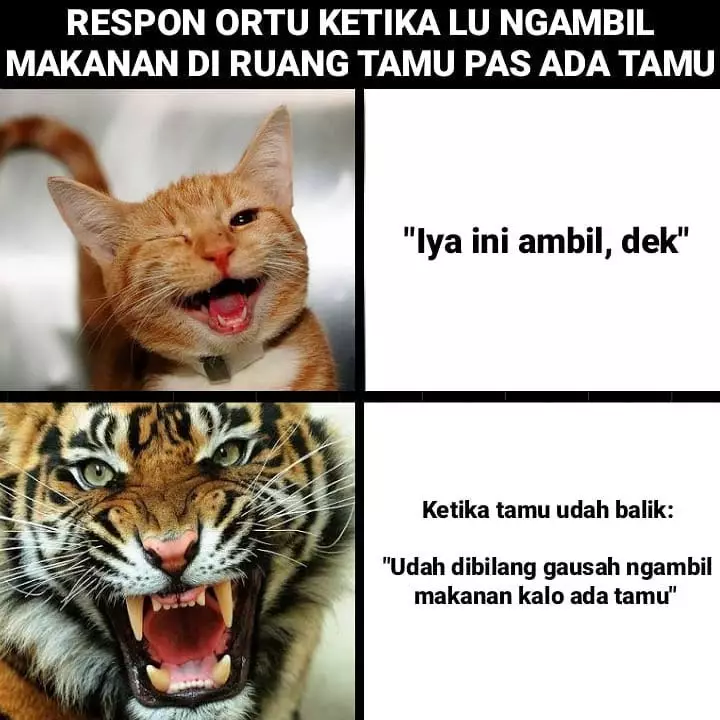 Meme ada tamu di rumah berbagai sumber Meme ada tamu di rumah berbagai sumber