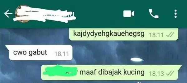 35 lewat whatsapp instagram