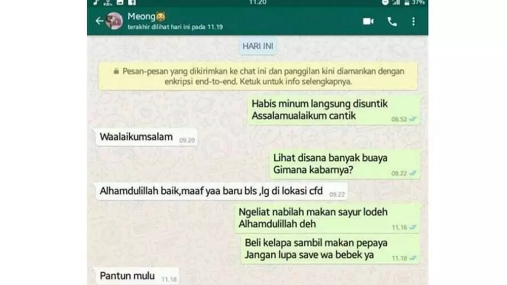 35 lewat whatsapp instagram