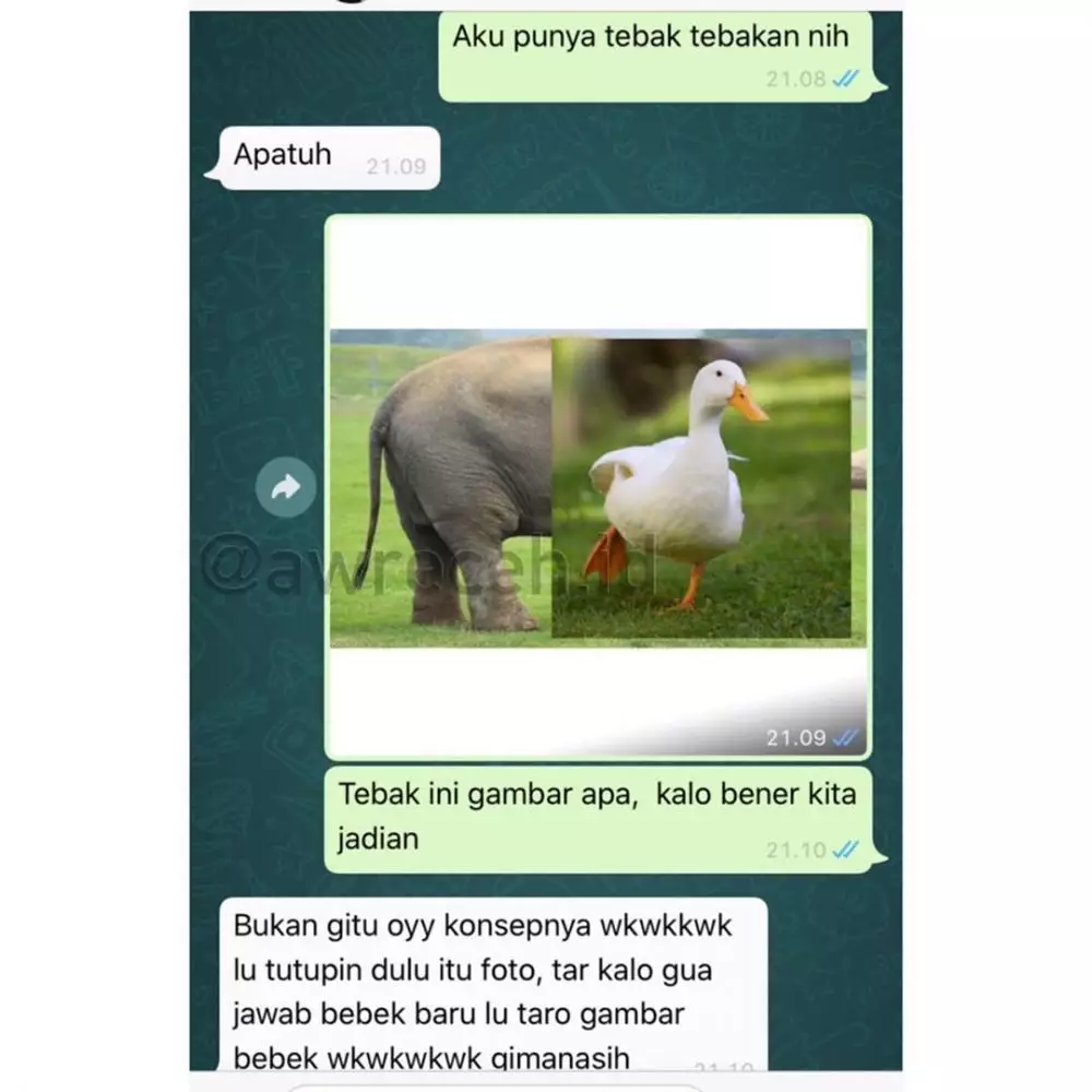 chat lucu salah nebak © 2020 instagram.com