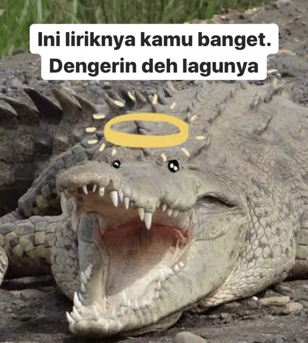 meme buaya darat Twitter meme buaya darat Twitter