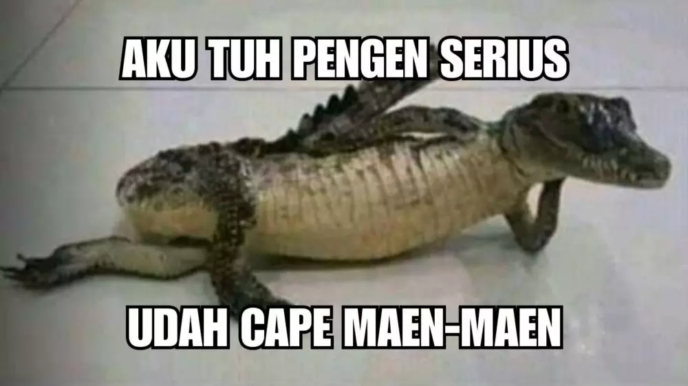 meme buaya darat Twitter meme buaya darat Twitter