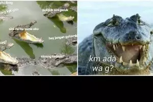 10 Meme lucu buaya darat ini bikin cewek geleng kepala
