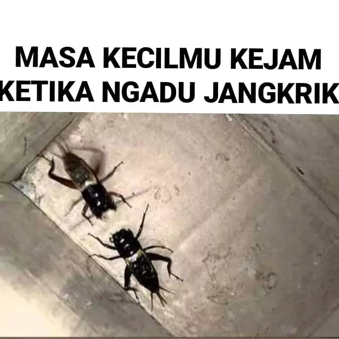 Meme kenakalan masa kecil Instagram