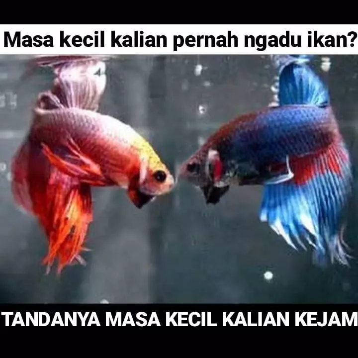 Meme kenakalan masa kecil Instagram