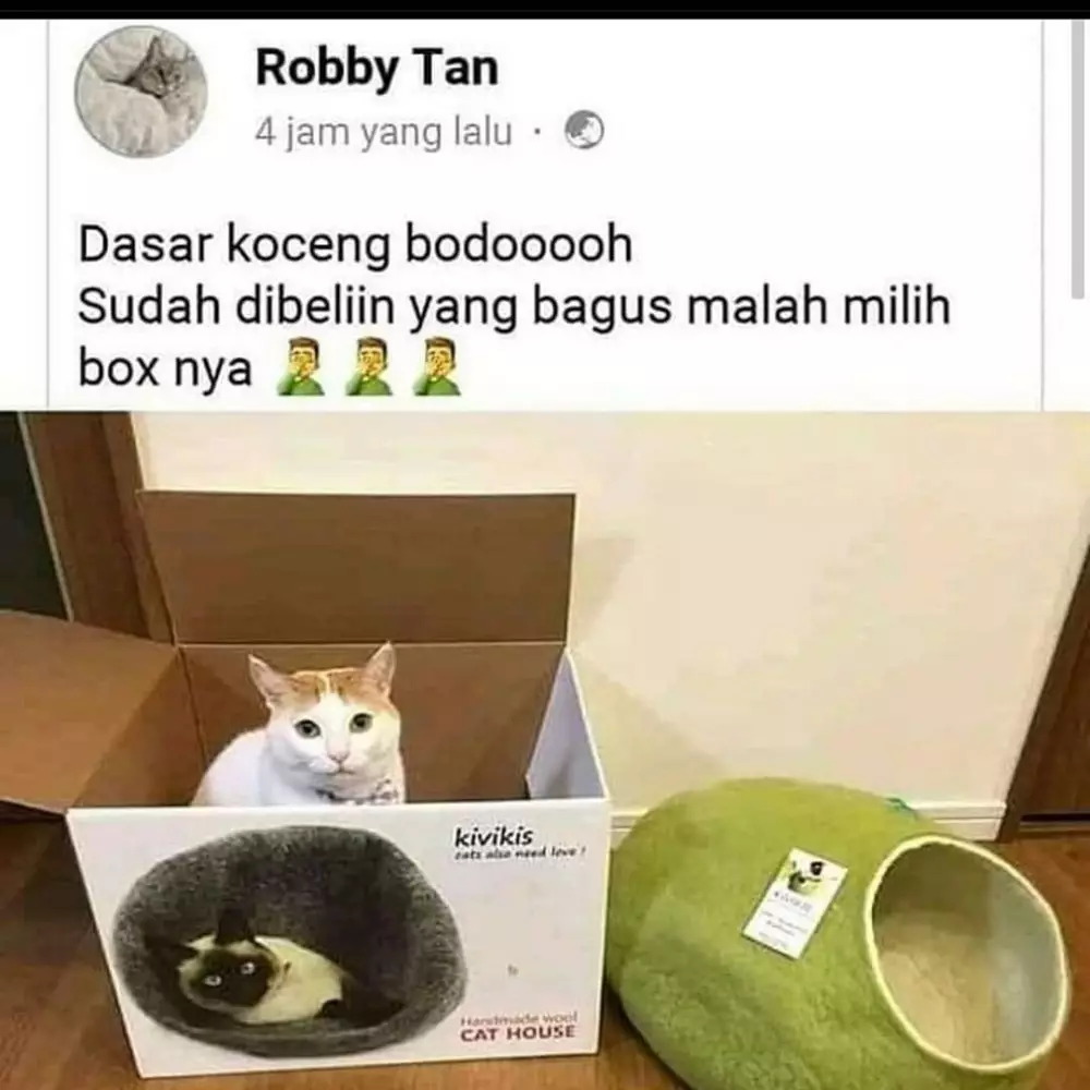 status lucu orang salah beli © 2020 instagram.com