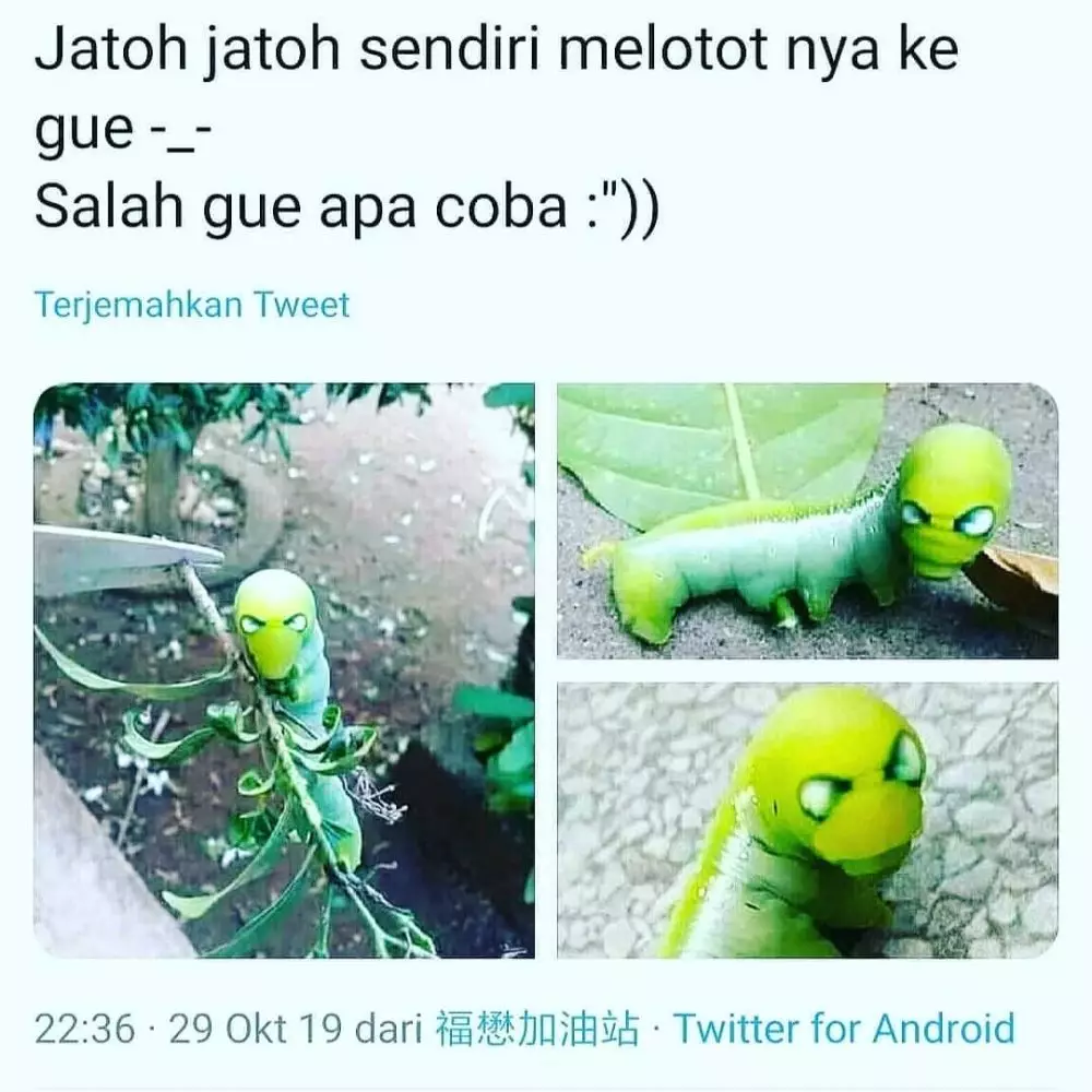 status lucu orang salah beli © 2020 instagram.com