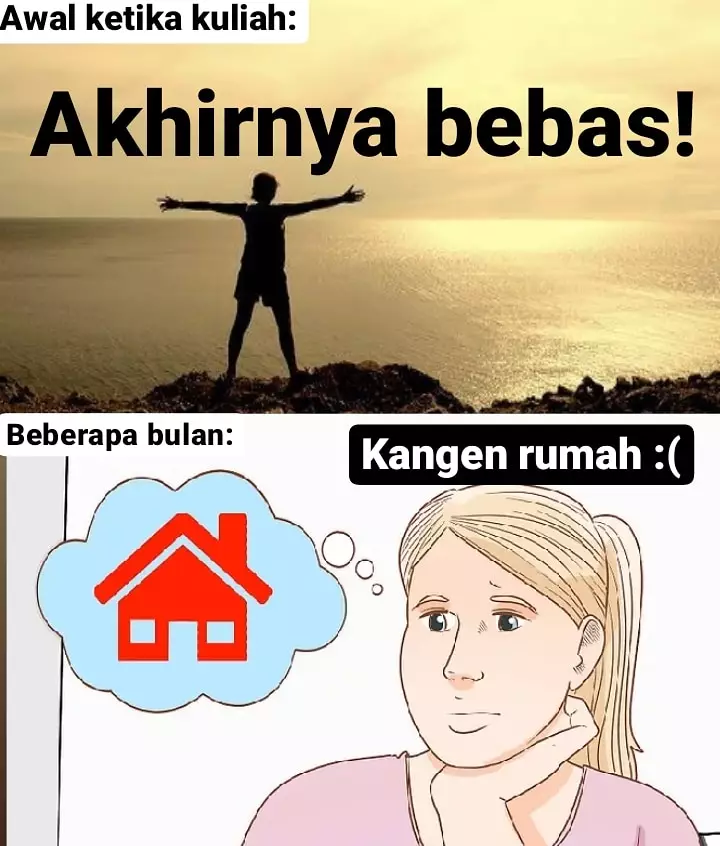 Meme kehidupan mahasiswa Berbagai sumber