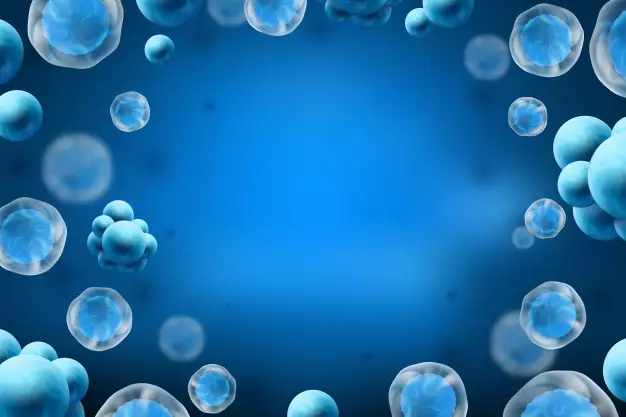 Manfaat biji pepaya © 2020 brilio.net freepik.com