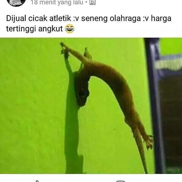 status lucu jualan online © 2020 instagram.com status lucu jualan online © 2020 instagram.com