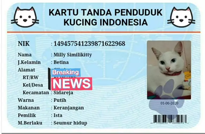 KTP kucing twitter KTP kucing twitter