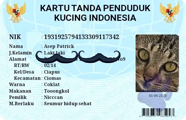 KTP kucing twitter KTP kucing twitter