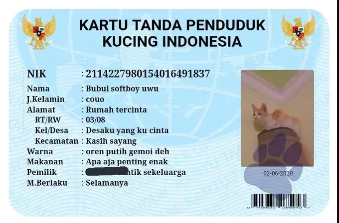 KTP kucing twitter KTP kucing twitter