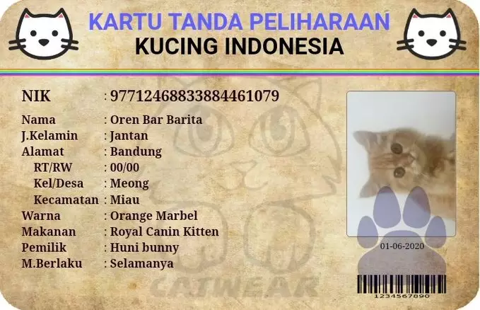 KTP kucing twitter KTP kucing twitter