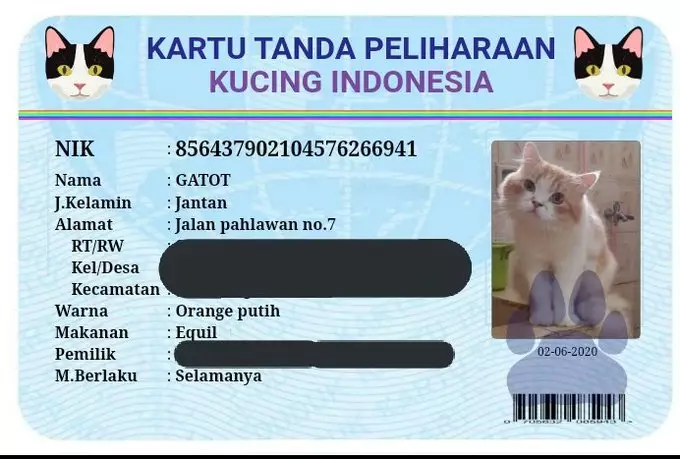KTP kucing twitter KTP kucing twitter