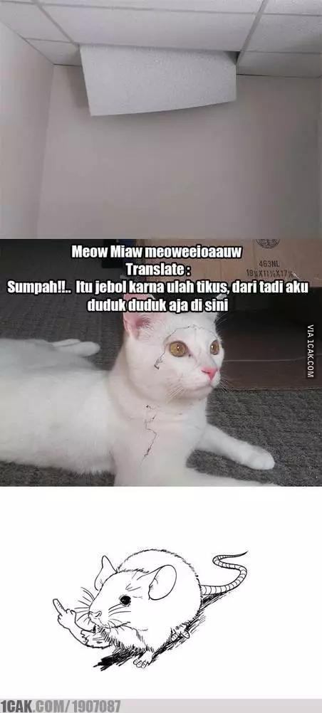 meme fitnah 1cak.com