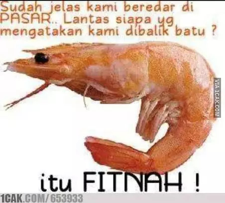 meme fitnah 1cak.com