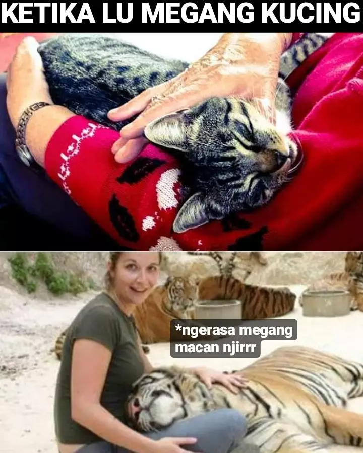 Meme dilihat vs dirasakan Berbagai sumber