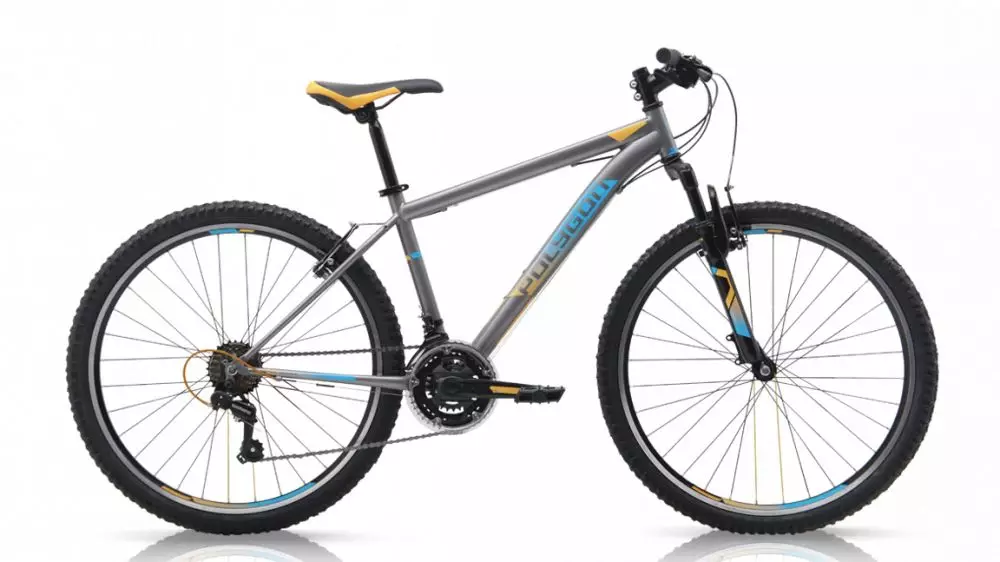 sepeda Polygon monarch 2.0 rodalink