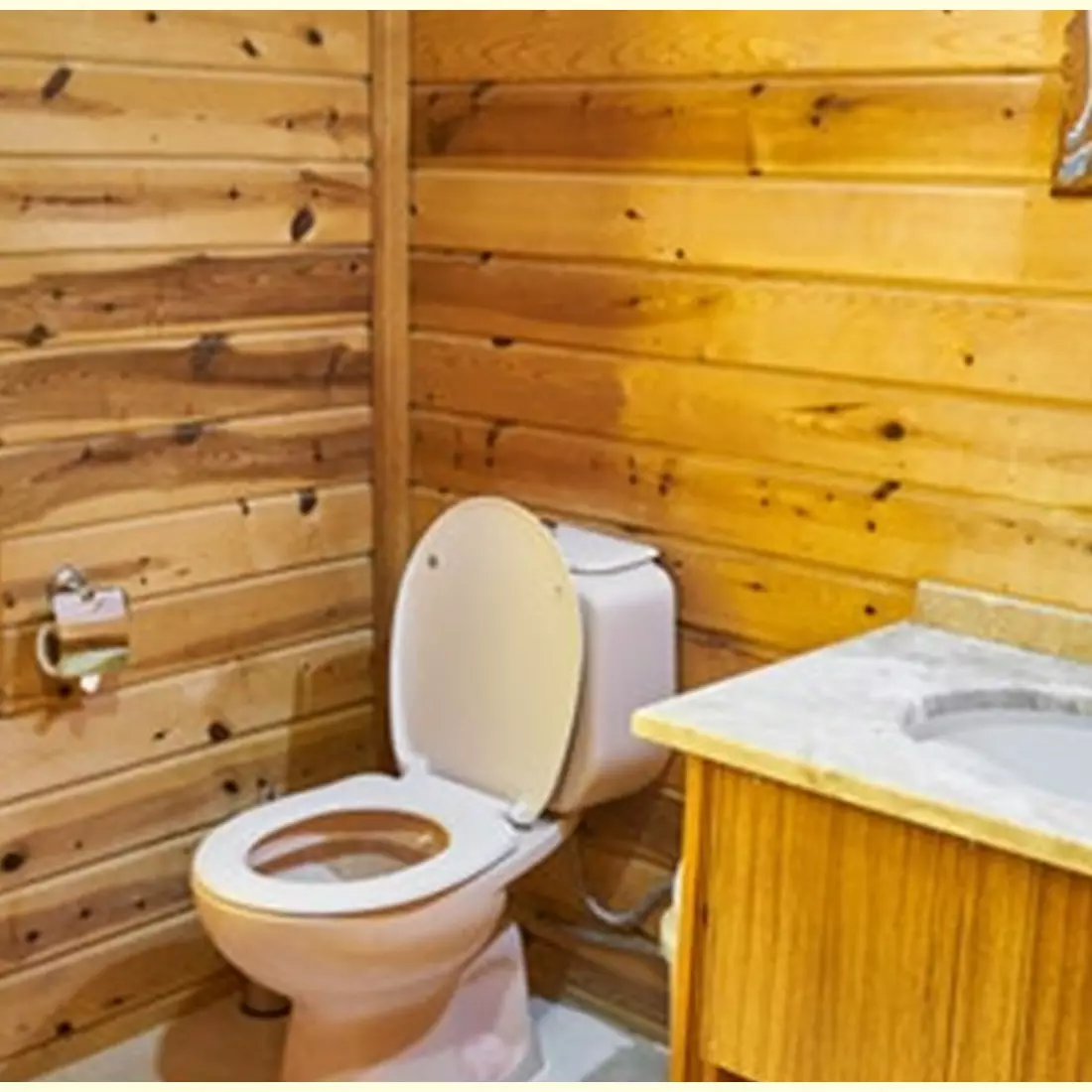 Biarkan toilet terbuka dapat cegah penularan corona? Ini penjelasannya