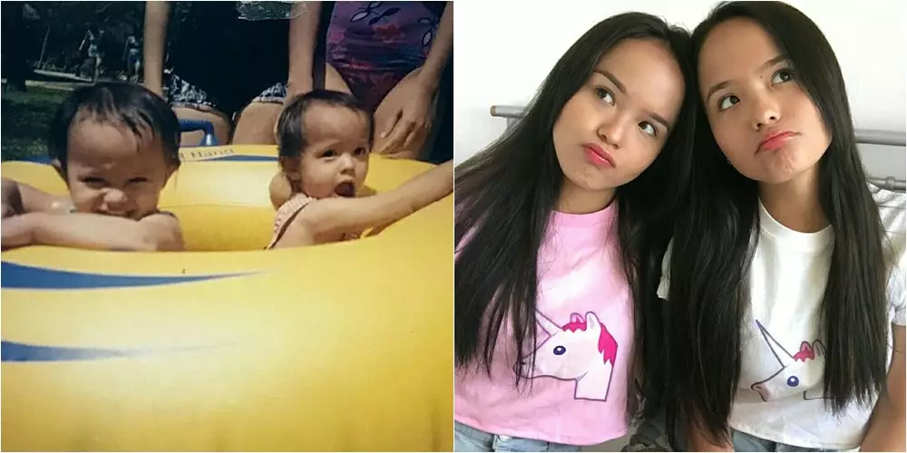 Transformasi artis kembar berbagai sumber 