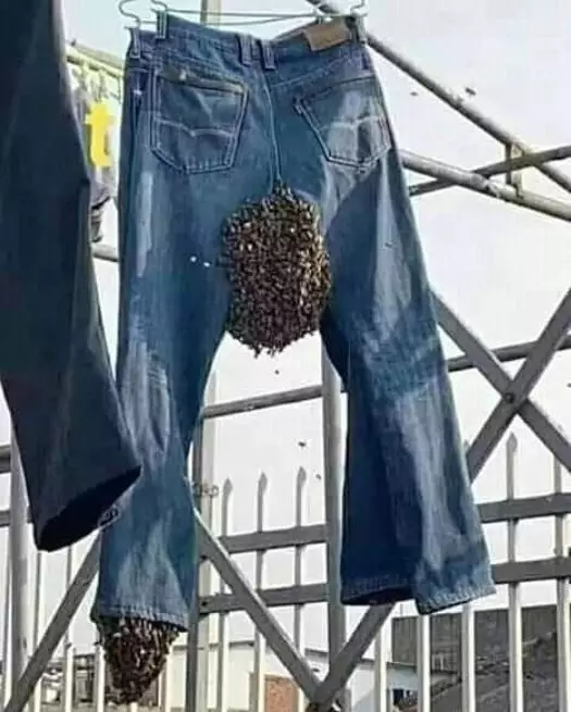 momen absurd jemur pakaian © 2020 brilio.net