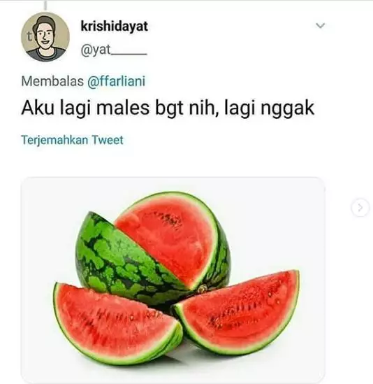 sambung makan Instagram