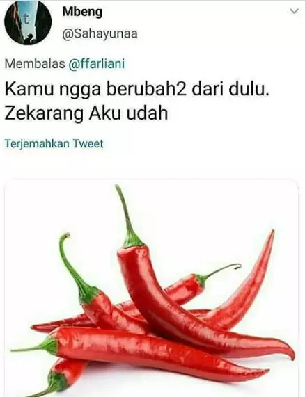 sambung makan Instagram