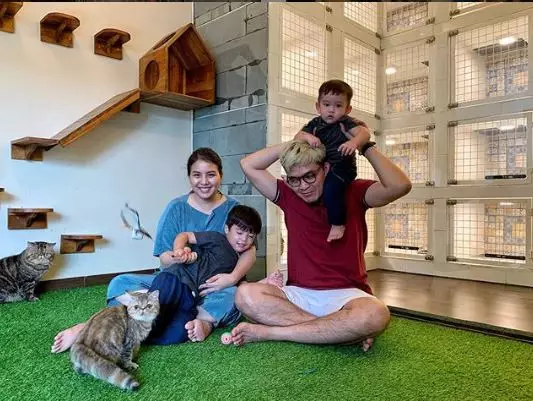 5 potret hotel kucing milik Tya Ariestya © 2020 brilio.net