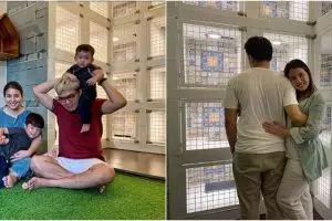 5 Potret hotel kucing milik Tya Ariestya, fasilitasnya lengkap