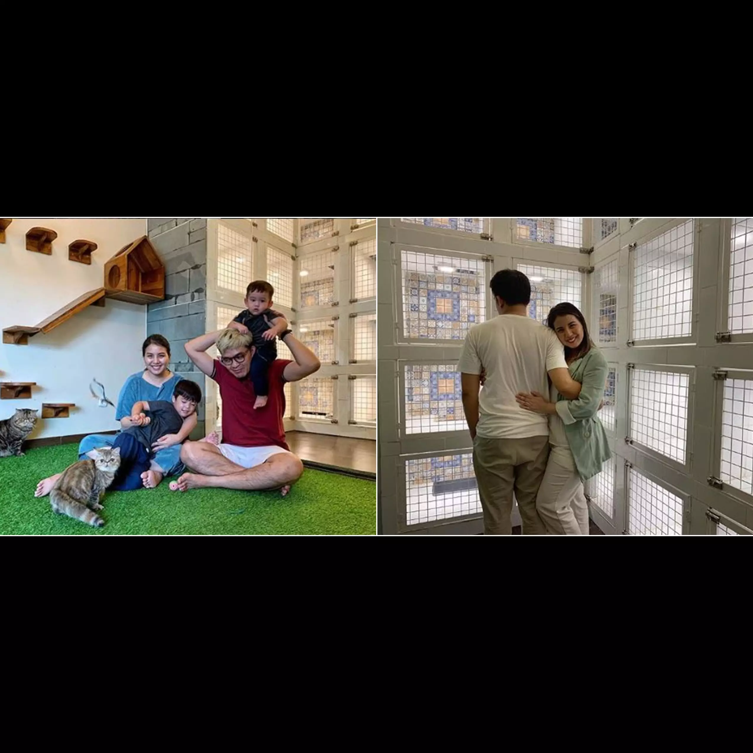 5 Potret hotel kucing milik Tya Ariestya, fasilitasnya lengkap