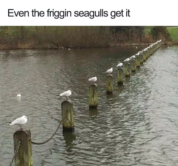 aksi lucu social distancing Berbagai sumber aksi lucu social distancing Berbagai sumber