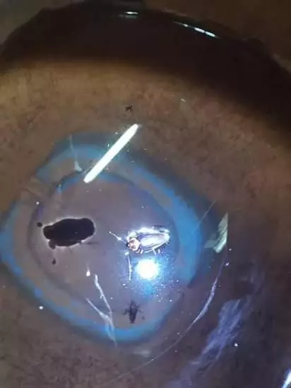 Facebook/Info Roadblock JPJ/POLIS © 2020 brilio.net