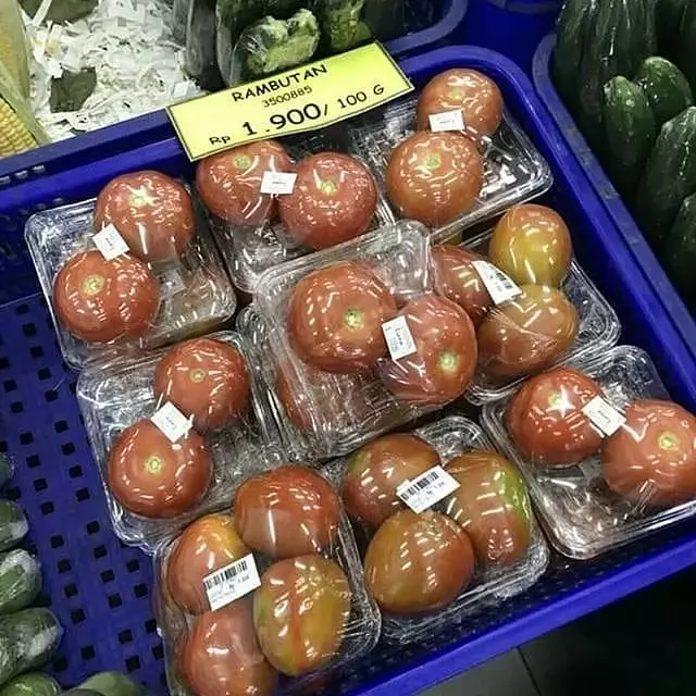 meme lucu bikin tertipu © 2020 instagram.com