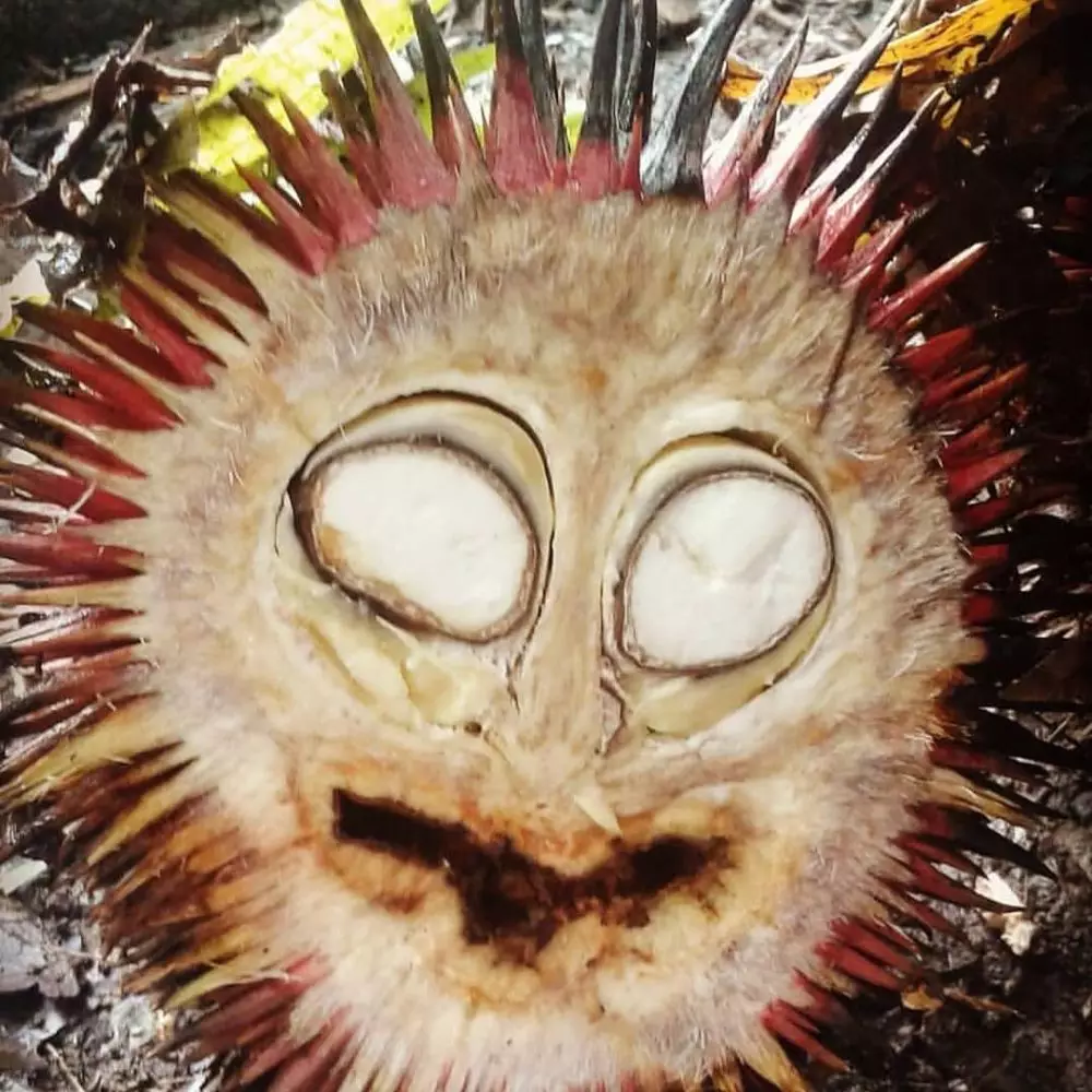 potret makanan terlihat seram © 2020 instagram.com potret makanan terlihat seram © 2020 instagram.com