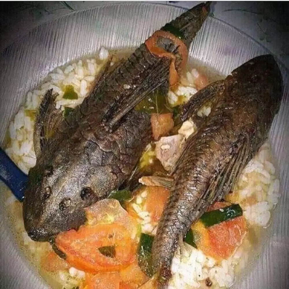 potret makanan terlihat seram © 2020 instagram.com potret makanan terlihat seram © 2020 instagram.com