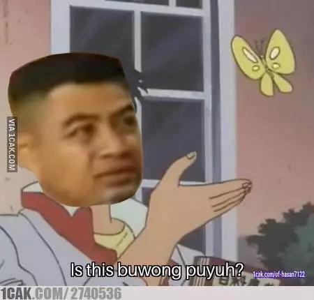 meme buwung puyuh Berbagai Sumber