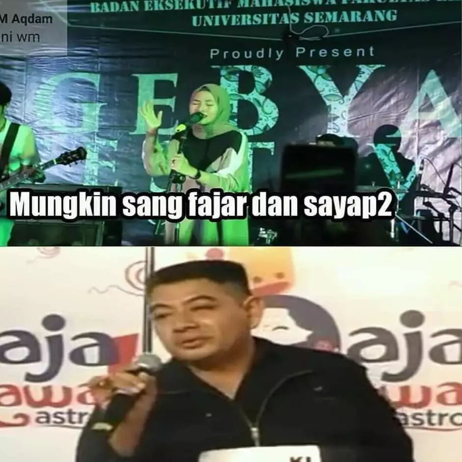 meme buwung puyuh Berbagai Sumber