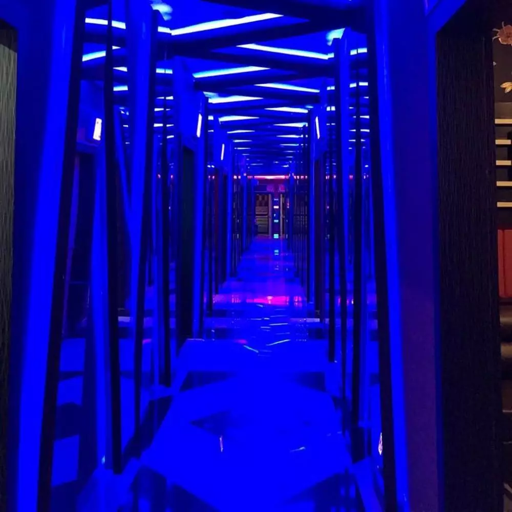 Instagram/@inul.d © 2020 brilio.net