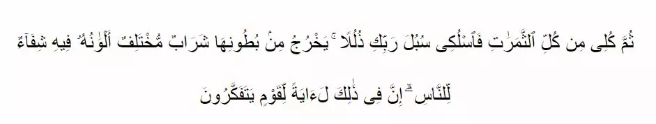 Keistimewaan madu dalam Alquran serta manfaatnya © 2020 brilio.net