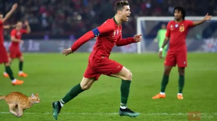 Editan Cristiano Ronaldo kucing Facebook/Ahyadie uyad