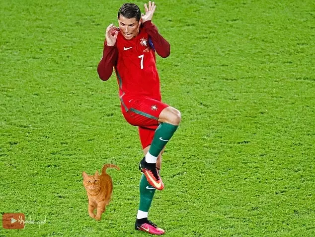 Editan Cristiano Ronaldo kucing Facebook/Ahyadie uyad