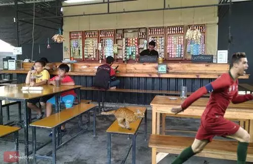 Editan Cristiano Ronaldo kucing Facebook/Ahyadie uyad