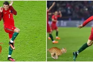 10 Editan foto Cristiano Ronaldo dikejar kucing ini nyeleneh abis