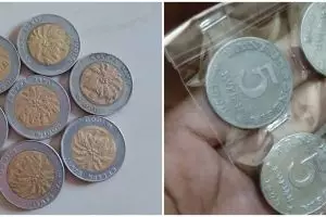 7 Uang koin Indonesia ini punya harga tinggi, ada yang Rp 100 juta