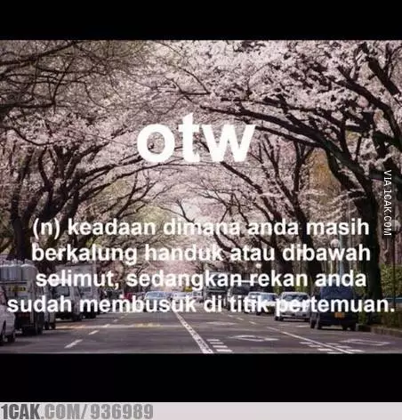meme OTW berbagai sumber